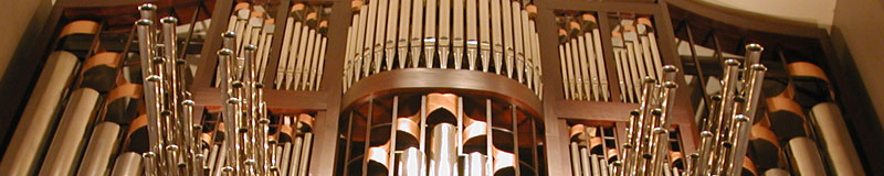Organo